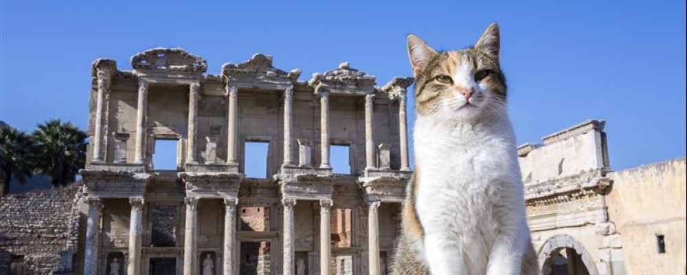 2 Days Ephesus and Pamukkale Tour from Istanbul