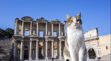 2 Days Ephesus and Pamukkale Tour from Istanbul