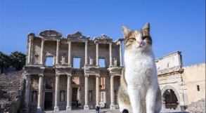 2 Days Ephesus and Pamukkale Tour from Istanbul