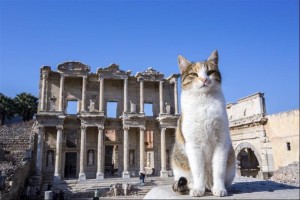 2 Days Ephesus and Pamukkale Tour from Istanbul